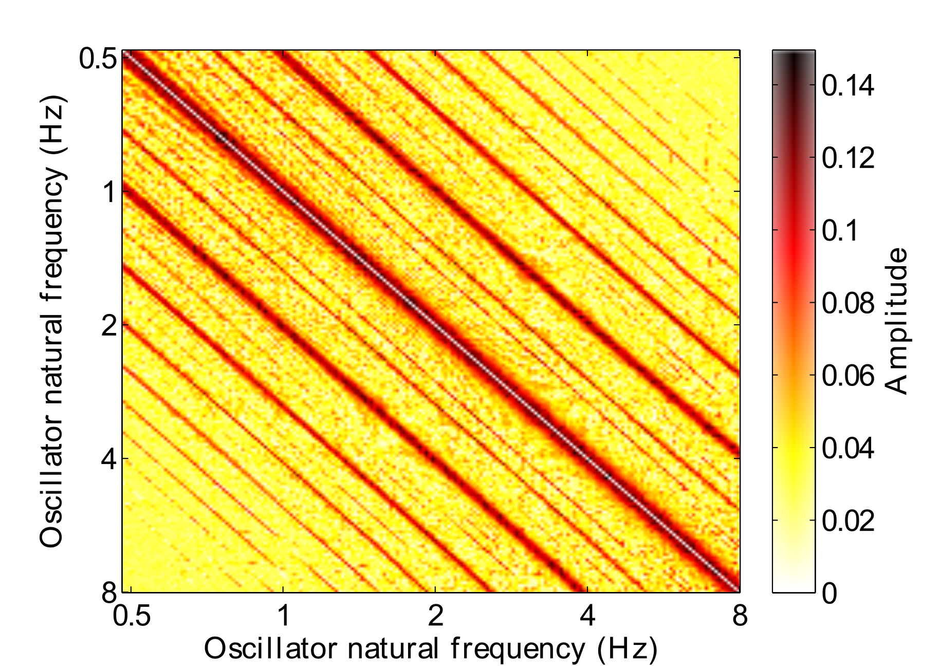 Amplitudes of connectivity matrix